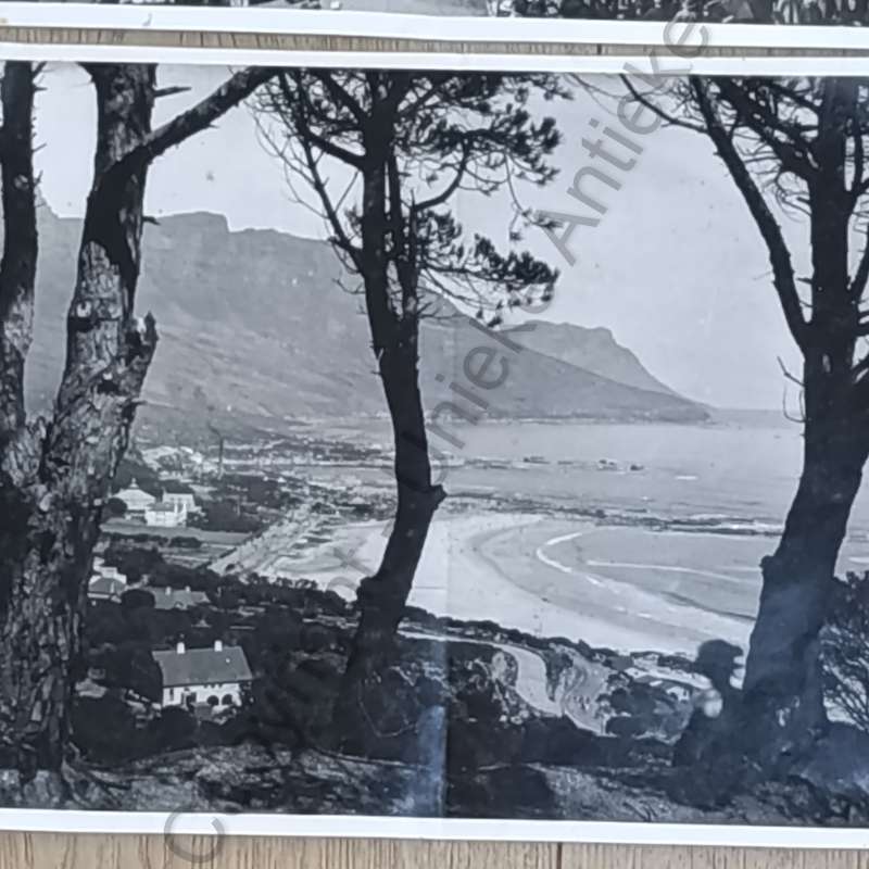 Lot of Antique Cape Town photo prints