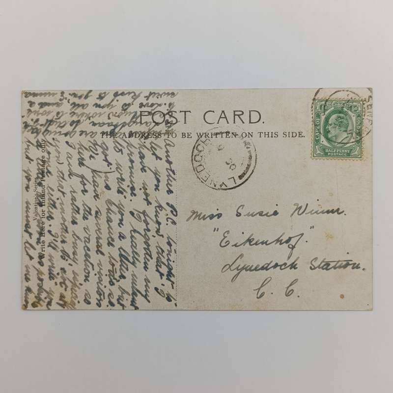 Early 1900 postcard sent from Senekal Orange Free State to Lynedoch Station Cape Colony