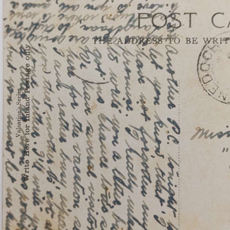 Early 1900 postcard sent from Senekal Orange Free State to Lynedoch Station Cape Colony