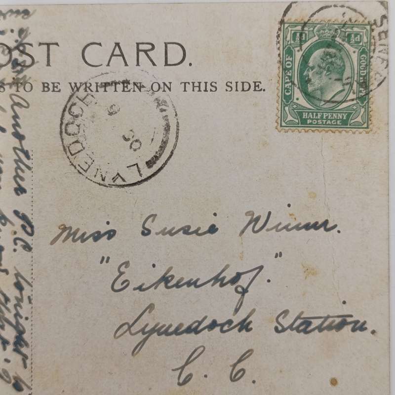 Early 1900 postcard sent from Senekal Orange Free State to Lynedoch Station Cape Colony