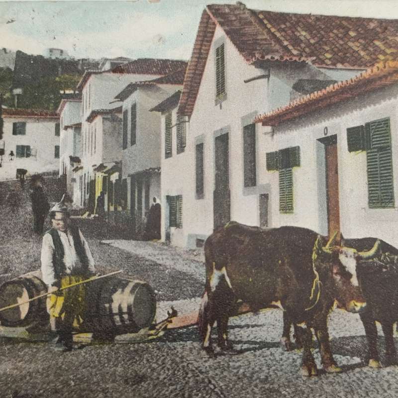 1906 Postcard Madeira to 3 Anchor Bay - 3 instead of three