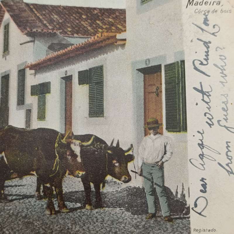 1906 Postcard Madeira to 3 Anchor Bay - 3 instead of three