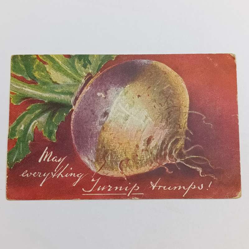 1907 Postcard From Port Elizabeth to Blaney Junction, East London - Funny card
