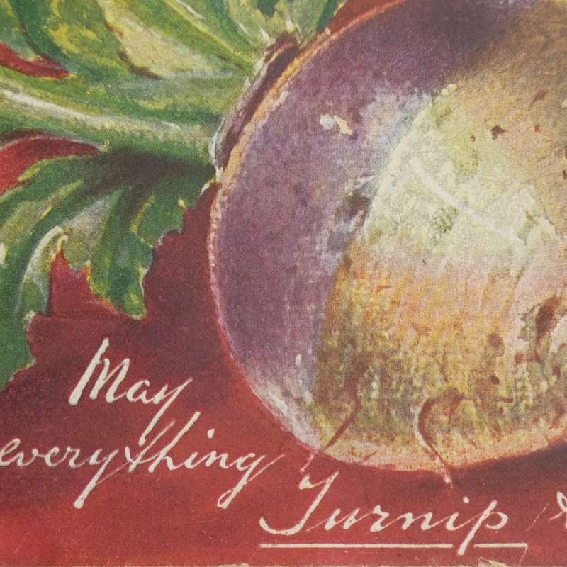 1907 Postcard From Port Elizabeth to Blaney Junction, East London - Funny card