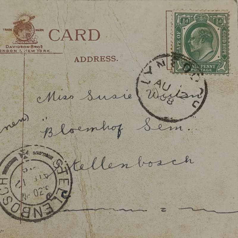 1908 Funny postcard sent from Lynedoch to Stellenbosch - Early Afrikaans used in message