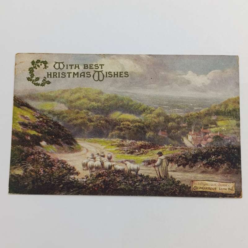 1907 Postcard sent from Blackheath England to Cape Town South Africa