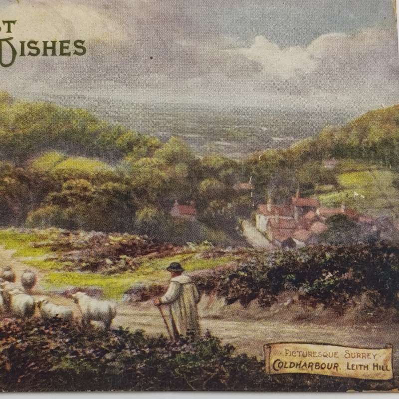 1907 Postcard sent from Blackheath England to Cape Town South Africa