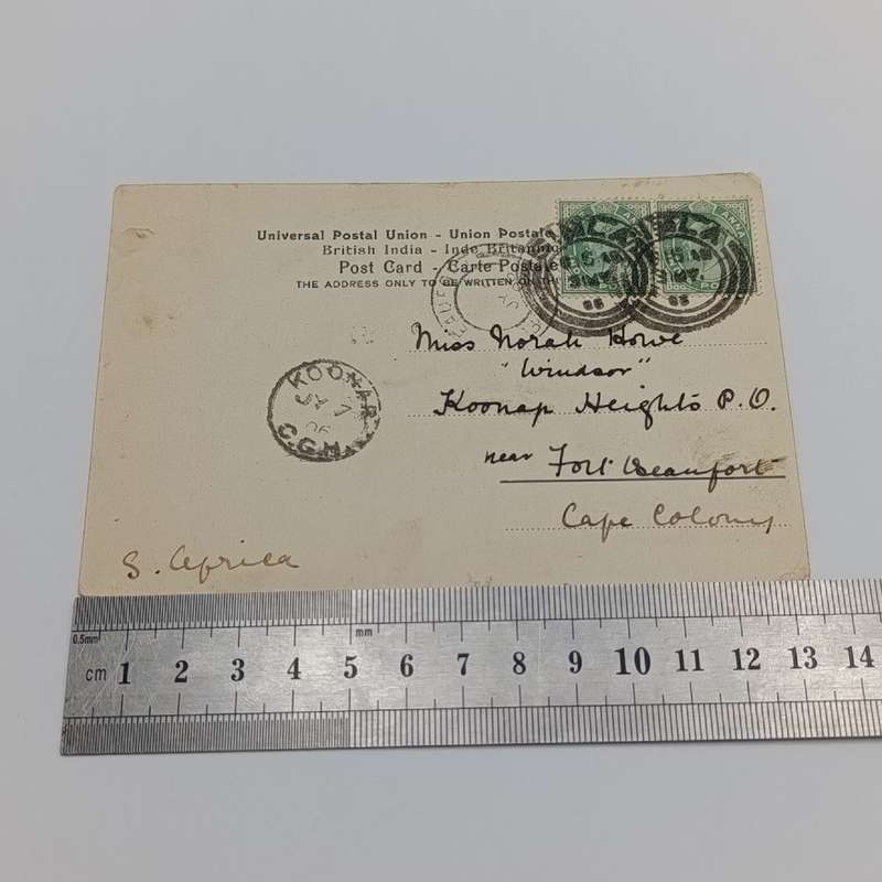 1906 Postcard from SIMLA, India to Koonap, Cape of Good Hope through Fort Beaufort