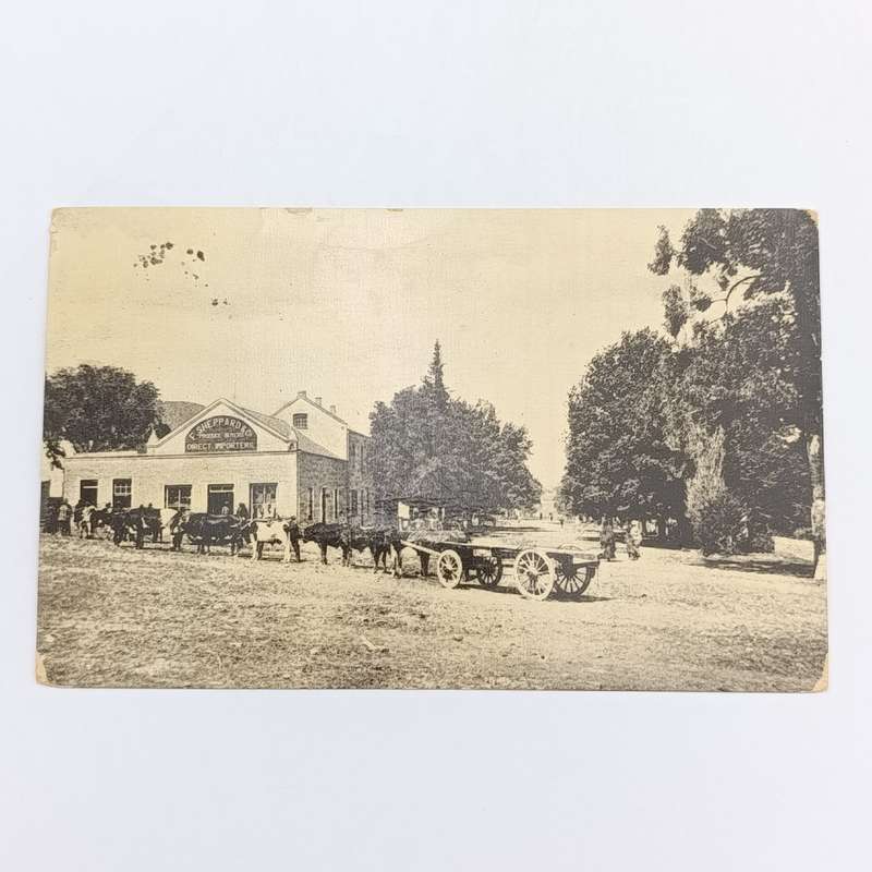 1911 postcard Seymour to Cathcart - Ciskei forerunner - Picture of F Sheppard & Co's shop
