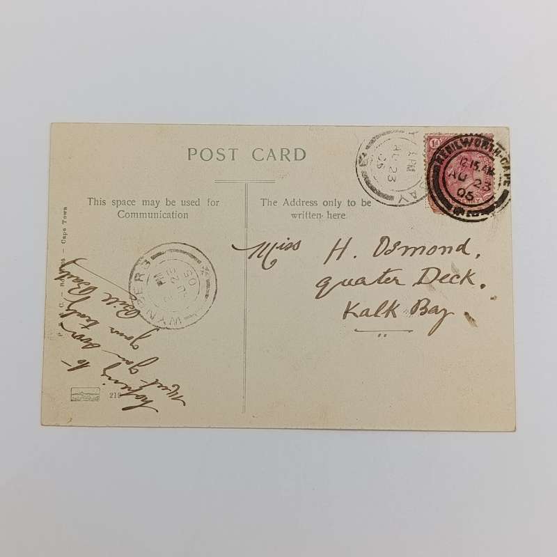 1905 postcard from Kenilworth, Cape through Wynberg to KalkBay - picture of Ostrich