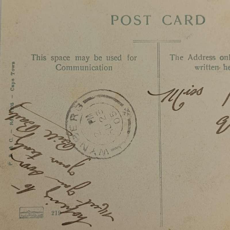 1905 postcard from Kenilworth, Cape through Wynberg to KalkBay - picture of Ostrich