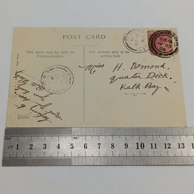 1905 postcard from Kenilworth, Cape through Wynberg to KalkBay - picture of Ostrich