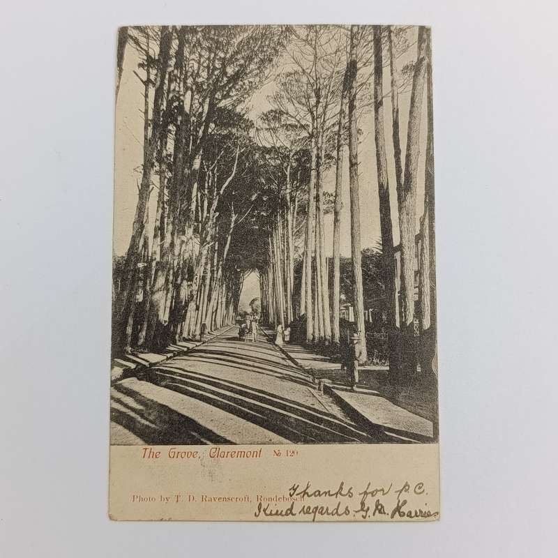 1908 Postcard from Somerset West, Cape Colony to Bream Creek, Tasmania