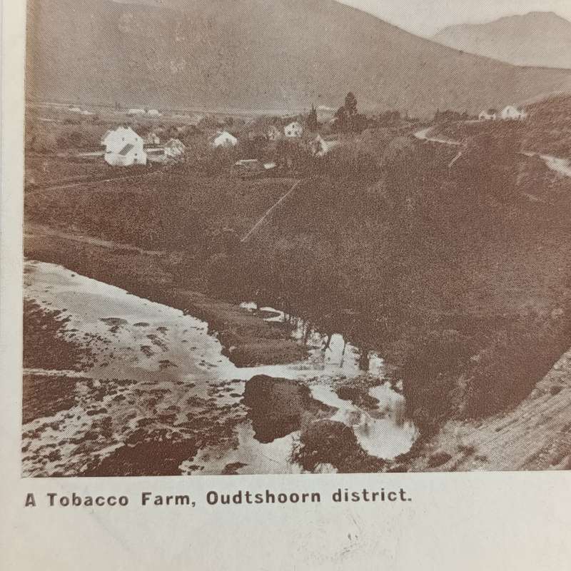 1906 Postcard from Calitzdorp, Cape Colony through Laingsburg and Bloemfontein to Dewetsdorp