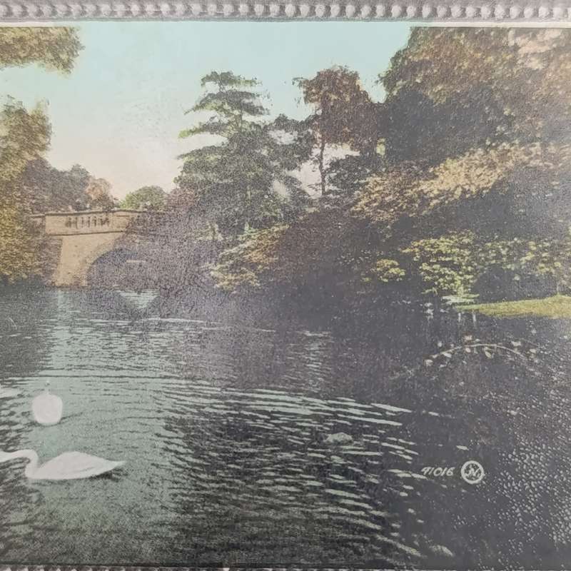1911 Postcard from Senekal, Free State to Lynedoch - Birmingham scene picture