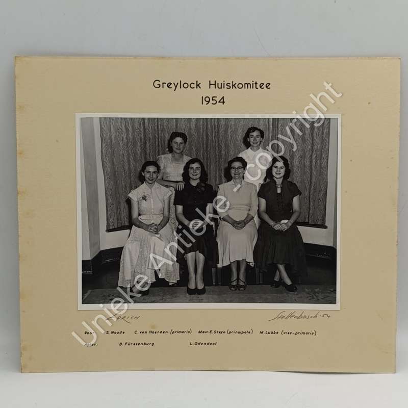 1954 photo of The Greylock House Committee Stellenbosch