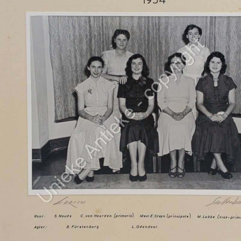 1954 photo of The Greylock House Committee Stellenbosch