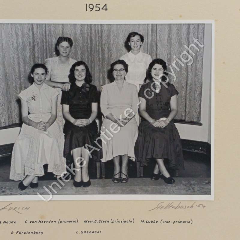 1954 photo of The Greylock House Committee Stellenbosch