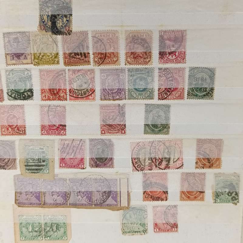 Album - pages with over 400 South African as from pre 1910 and about 240 British stamps nice stamps
