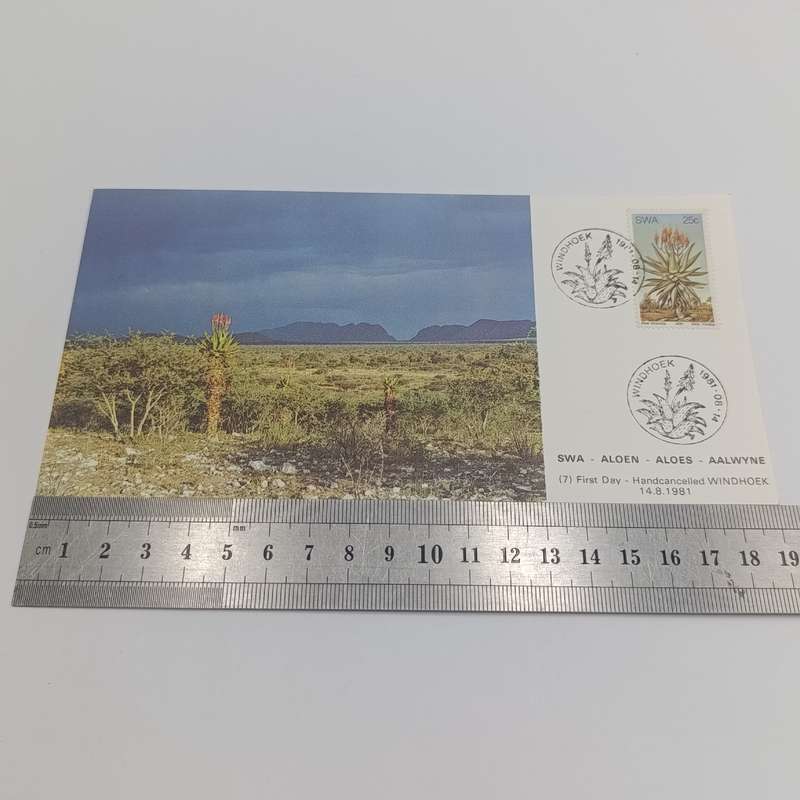 Lot of 4 SWA Aloes Maxi - cards 1981 First Day - Hand cancelled in Windhoek