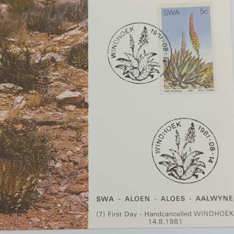 Lot of 4 SWA Aloes Maxi - cards 1981 First Day - Hand cancelled in Windhoek