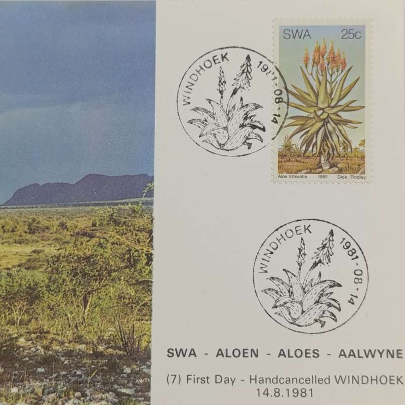 Lot of 4 SWA Aloes Maxi - cards 1981 First Day - Hand cancelled in Windhoek