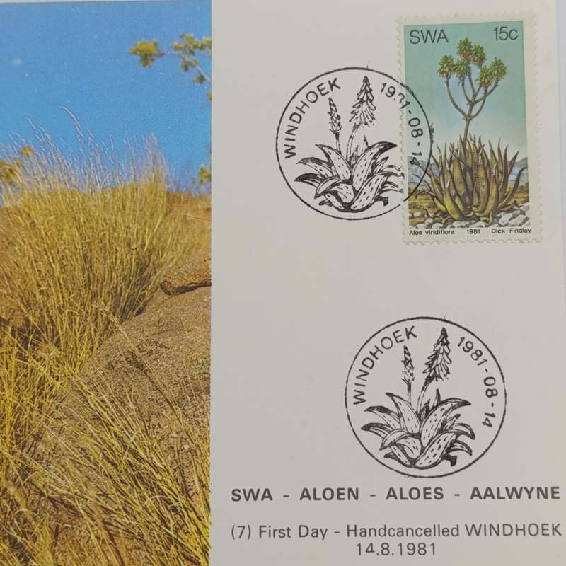Lot of 4 SWA Aloes Maxi - cards 1981 First Day - Hand cancelled in Windhoek