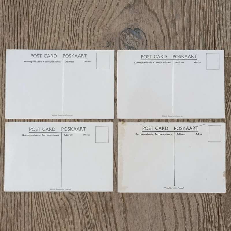 Twelve Glossy postcards of South African Native studies in original packaging