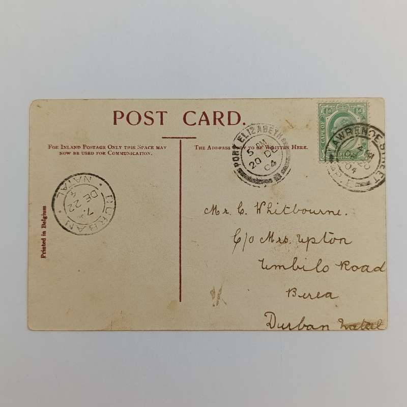 1904 Postcard Lawrence Street Port Elizabeth (renamed Rose Street) to Durban