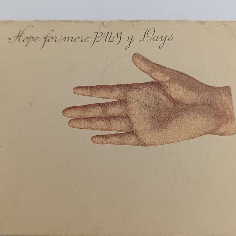 1905 Postcard Humansdorp to Luipaardsvlei - Funny card