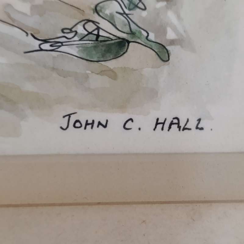Beautiful watercolour and pen Sketch by John Chall of Stellenbosch