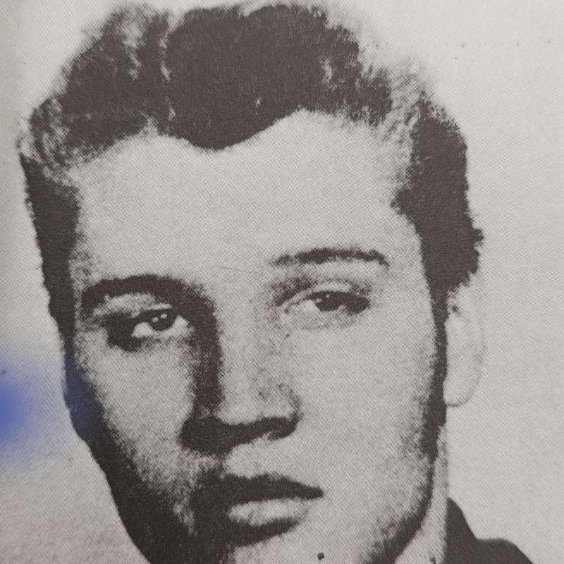 The Illustrated Elvis by WA Harbinson