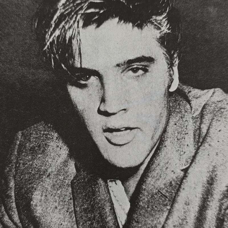 The Illustrated Elvis by WA Harbinson