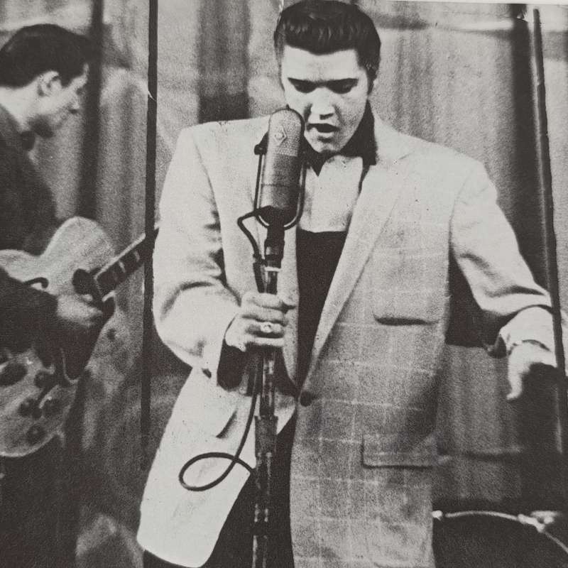 The Illustrated Elvis by WA Harbinson