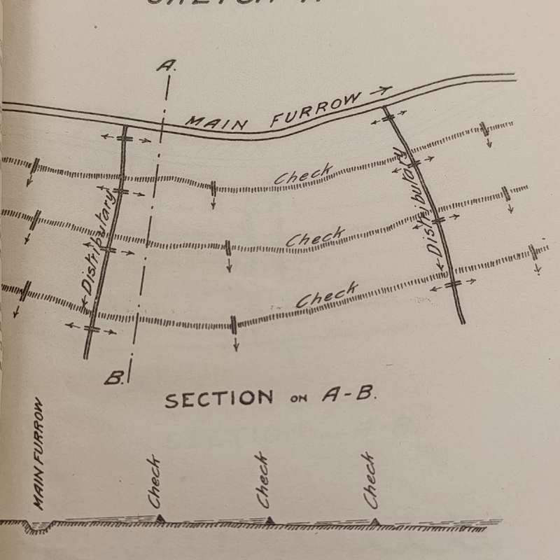 The Transvaal Agricultural Journal - January 1909
