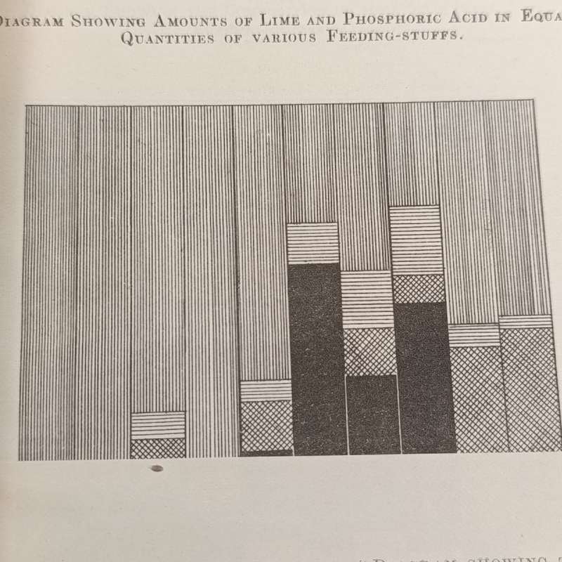 The Transvaal Agricultural Journal - January 1909