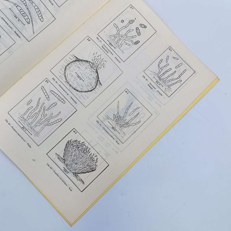 1972 Technical bulletin - Records of Diseases of Ornamental plants