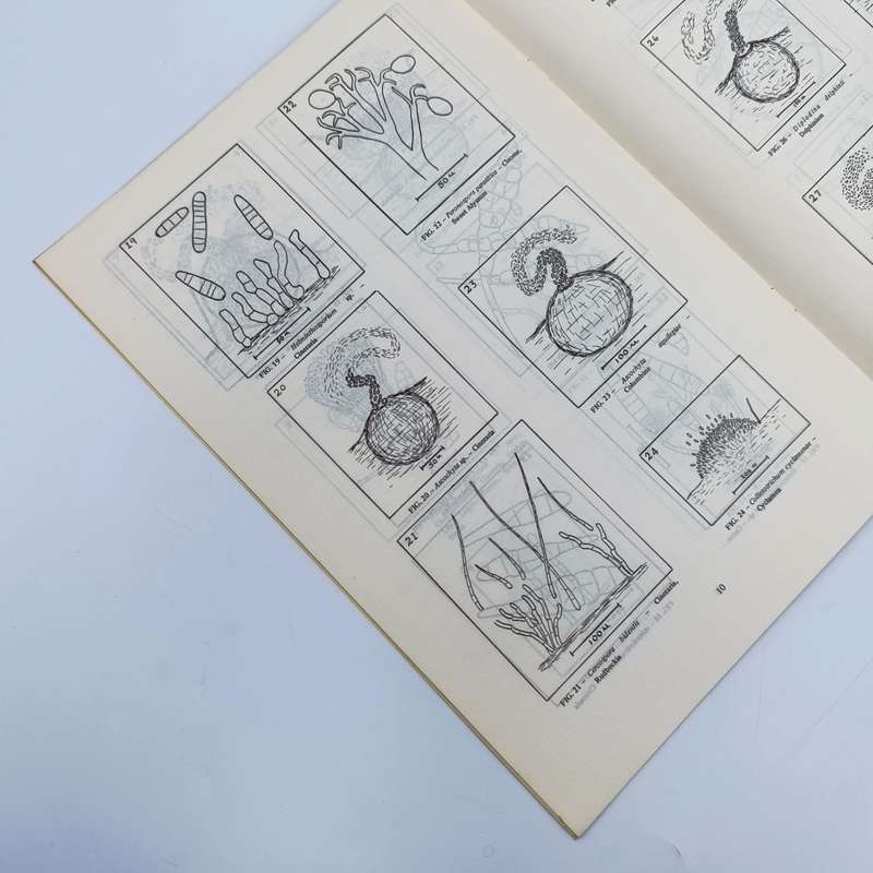 1972 Technical bulletin - Records of Diseases of Ornamental plants