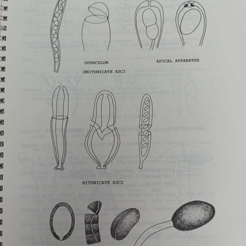 Elementary keys to common fungi in South Africa 1994 - Plant protection research institute
