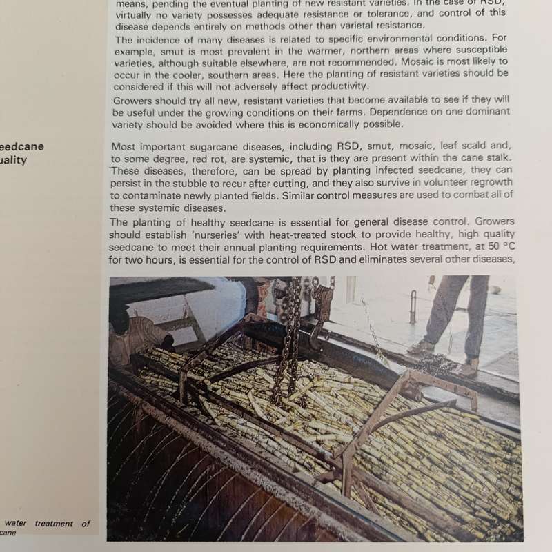 1980 - Sugarcane diseases in South Africa