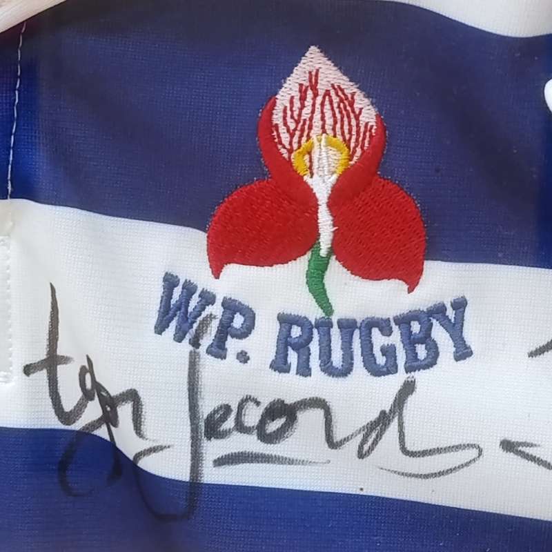 WP Rugby Jersey in frame - signed by various well-known players