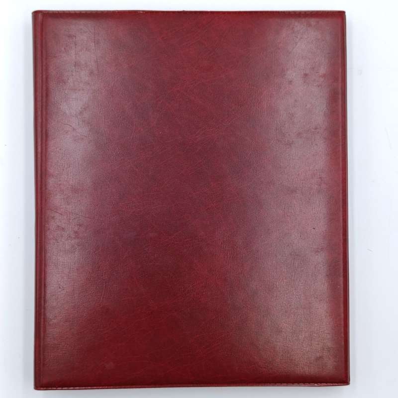 18 Page stamp world album with about 440 mint stamps - unchecked