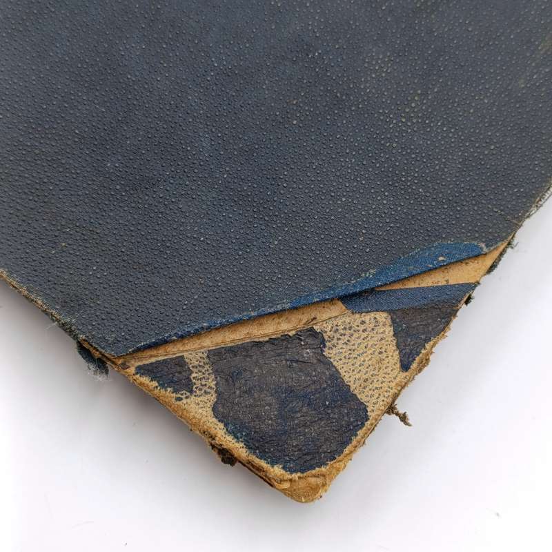 Photo album of the Wingrove family - Seaforth Dating from late 1800's and including photos up to WW2