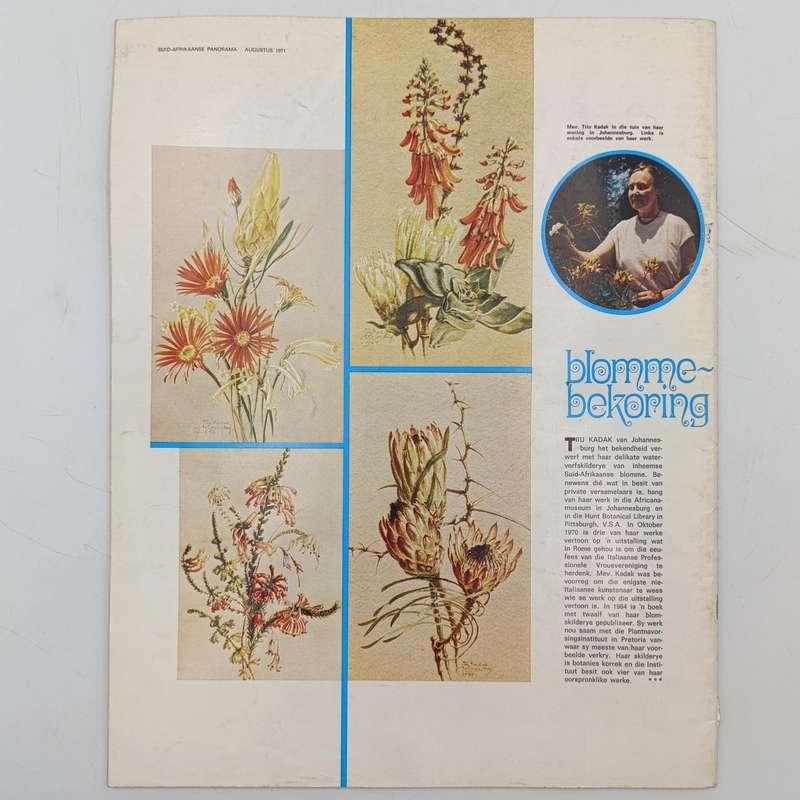 Vintage South African Panorama magazine - August 1971 issue