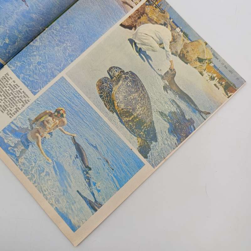 Vintage Pronk magazine - 17 December 1971