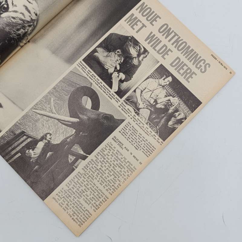 Vintage Pronk magazine - 16 May 1975 issue