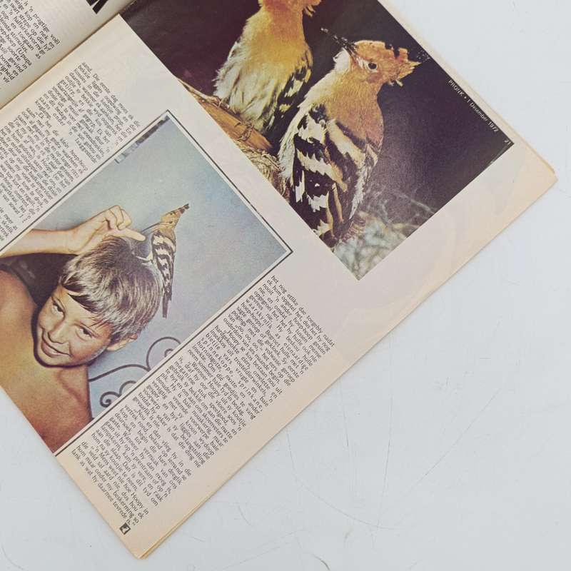 Vintage Pronk magazine - 1 December 1972 issue
