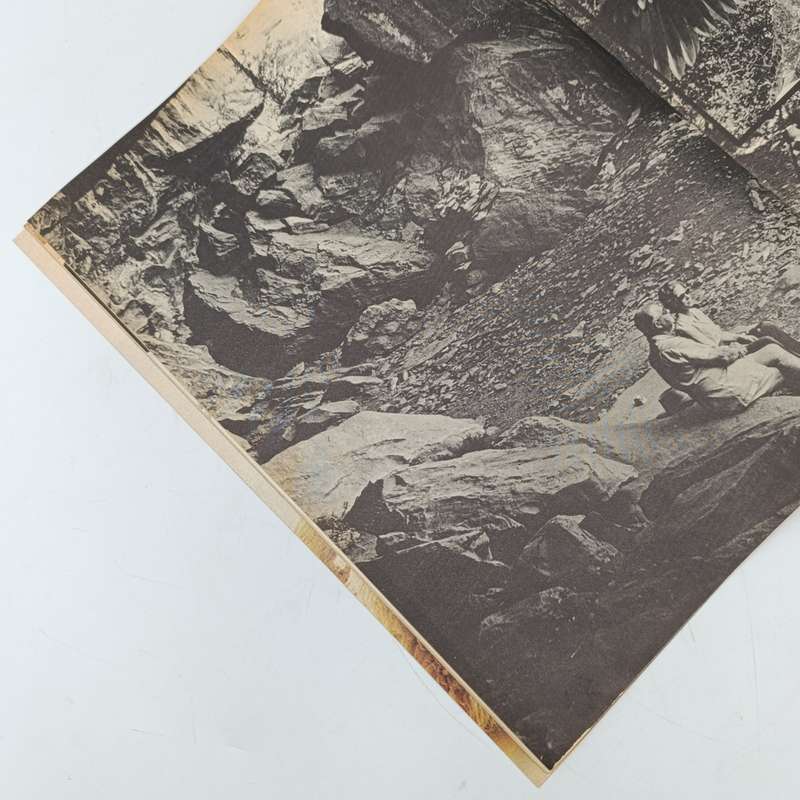 Vintage Pronk magazine - 6 April 1973 issue
