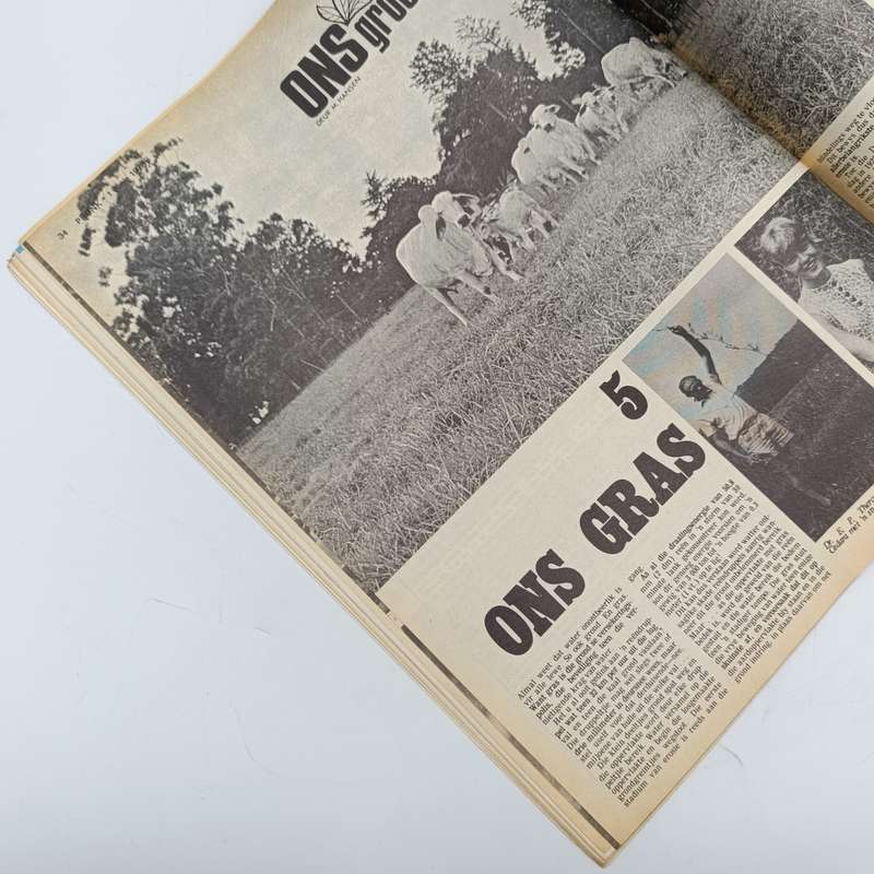 Vintage Pronk magazine - 1 June 1973 issue