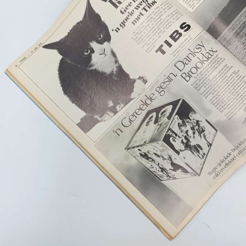 Vintage Pronk magazine - 11 July 1975 issue